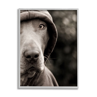 " Dog Wearing Hooded Sweater Close-Up Monochrome Photography " by Michael Brian