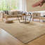 Haward Uniform Color Area Rug-1368621254