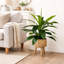 Plante artificielle en panier 17,50 po Callender Callender-726351189