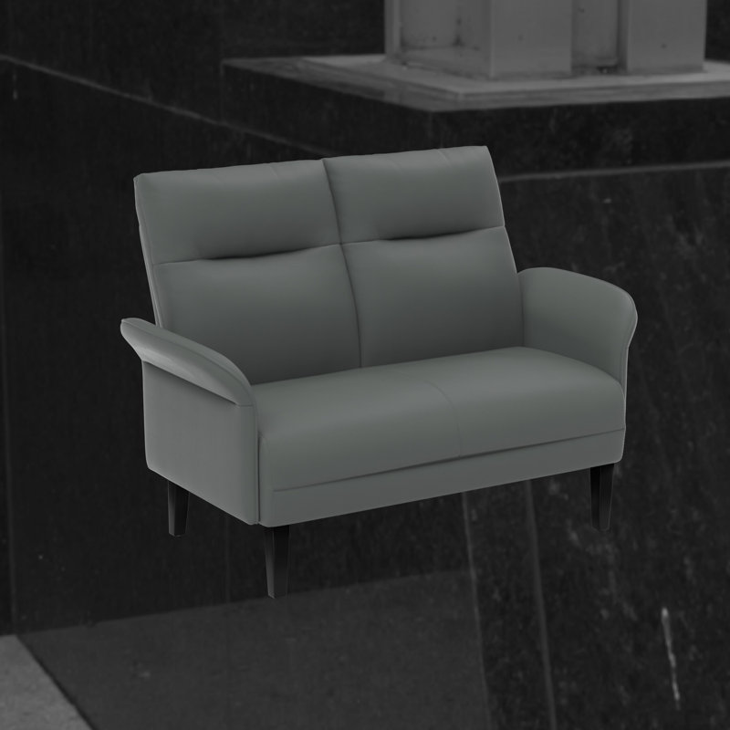 Causeuse moderne en similicuir rembourré avec pieds en bois, Gris
