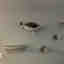 Customer photo 3 of 13