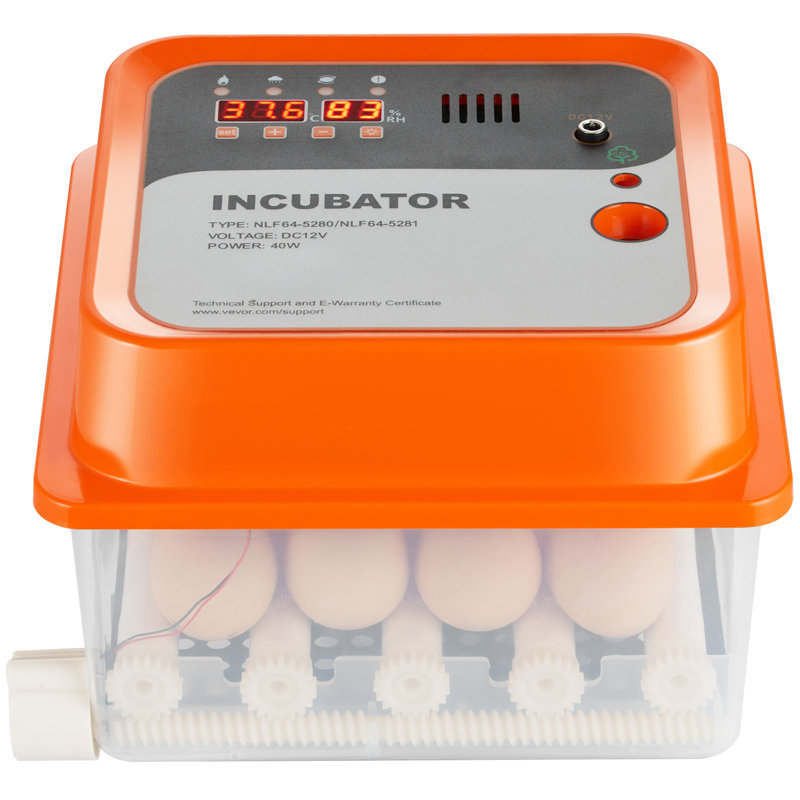 Incubateur d'œufs de poule pour jusqu'à 12 œufs