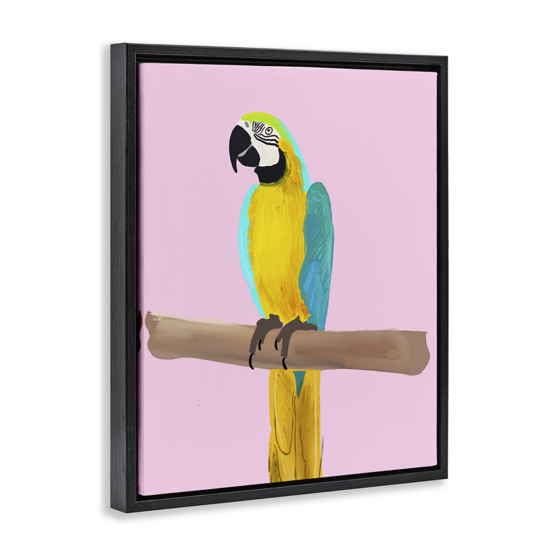 "Bright perroquet sur fond noir encadré" par Ashley Singleton, Cadre flottant noir de jais, H 21 po x l 17 po