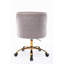 Deeanna Velvet Office Chair-1305611281