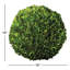 Preserved Greens Topiary, Hedge Plant in-1214296197