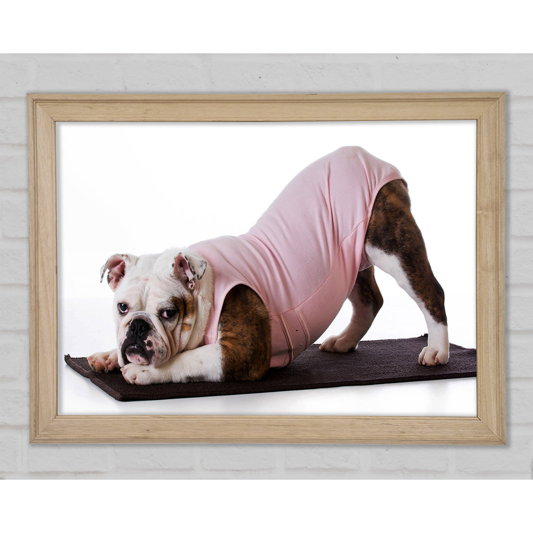 Britische Bulldogge Yoga Stretch - Druck