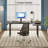 Lemarion Adjustable L-Shaped Metal Base Standing Desk with Power Outlet-726876530-726876531