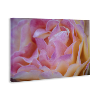 Pink Floral Petals Palette Canvas, design by James Rodewald
