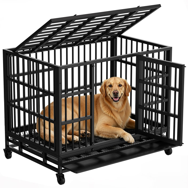 Cage pour chien robuste Stratford, H 35,6 po x l 47,1 po x P 29,9 po