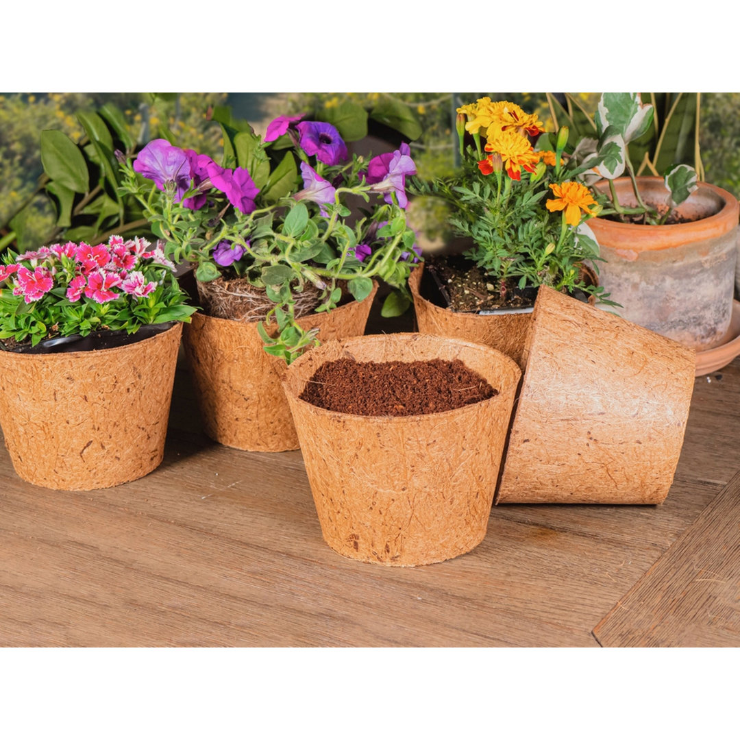 Eidson Liner Plant Stand (Set of 5) Bay Isle Home™