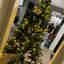 Customer photo 13 of 15
