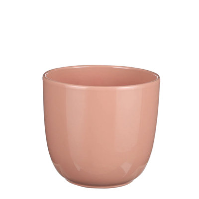 Cardonas Ceramic Pot Planter