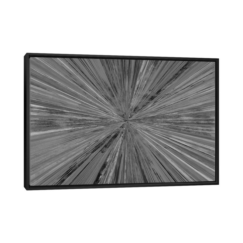 Lumière chatoyante I, H 18 po x l 26 po, Toile à cadre flottant noir, Noir / blanc inversé