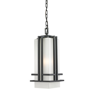 Driden Outdoor Pendant