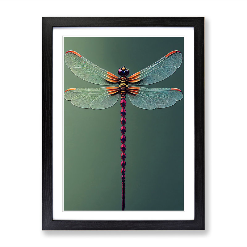 Perfect Dragonfly - Single Picture Frame Print, 64cm H x 46cm W x 2cm D, Black