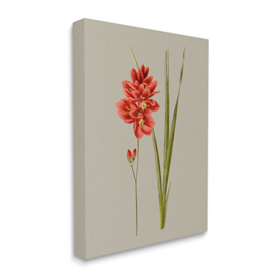 Art mural sur toile rouge traditionnel par Vision Studio
