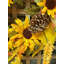 Couronne en polyester 20 po