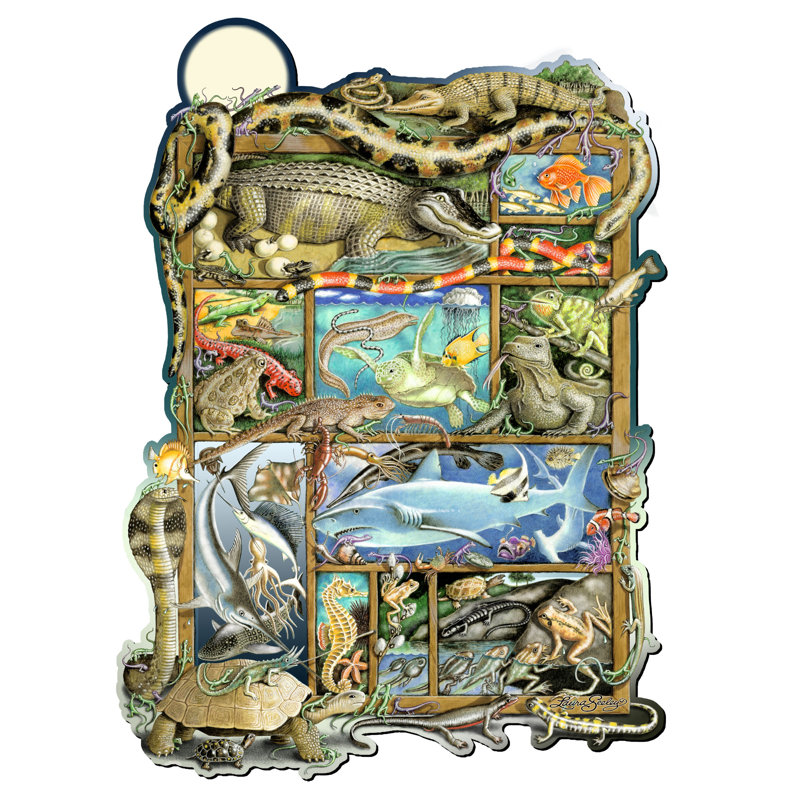 Art mural par Laura Seeley, Reptiles, poissons et Amphibiens, H 22,5 po x l 16,25 po x P 1 po