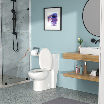 One Piece Ceramic Toilet - Skirted Design For Easy Maintenance, Quiet Operation Cleaning, Flush