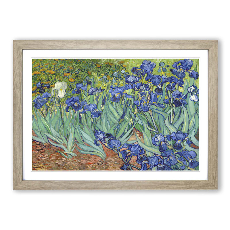 Vincent Van Gogh - Single Picture Frame Painting, Oak