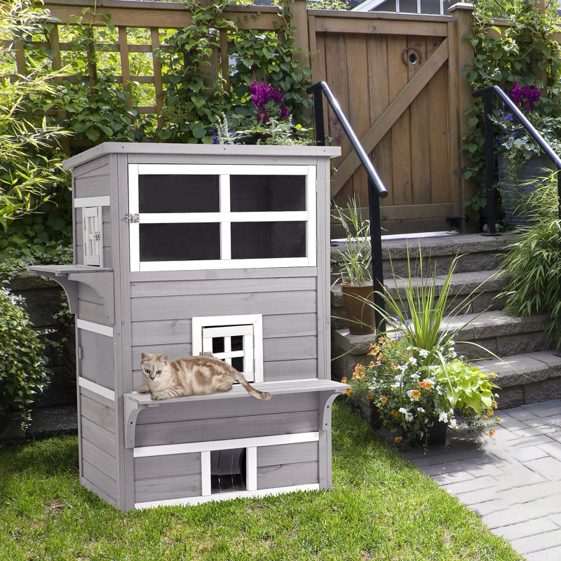 Outdoor Kitten Condo With Raised Floor, Asphalt Roof, Escape Doors, Jumping Platforms