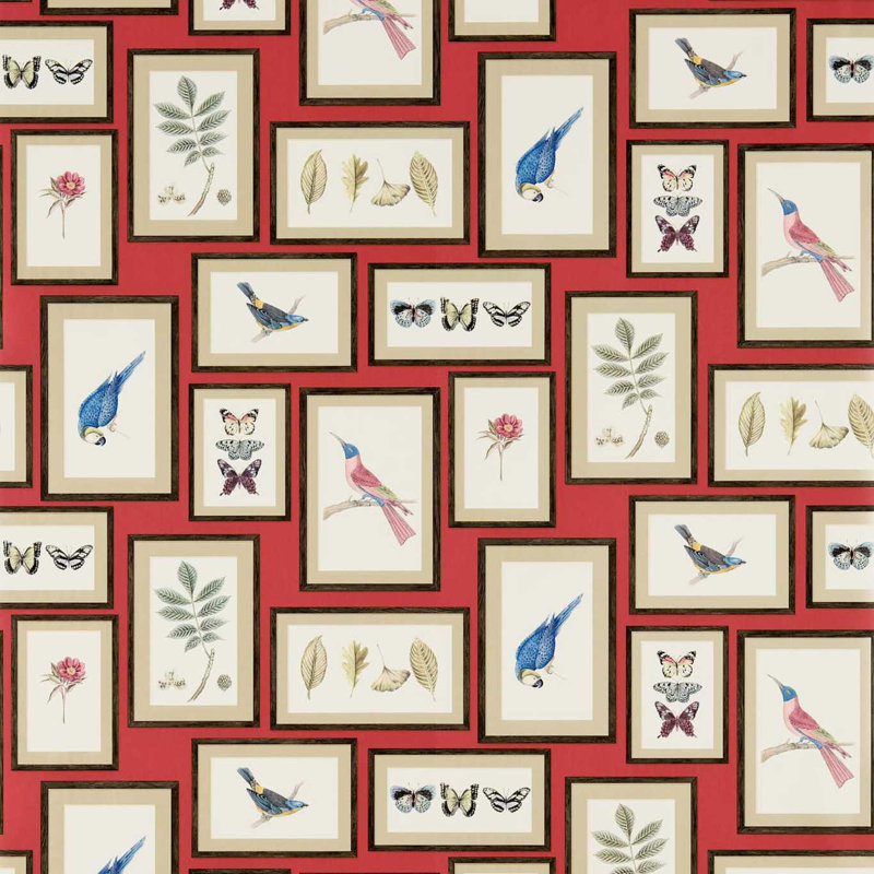 Picture Gallery Wallpaper, Red/Multi