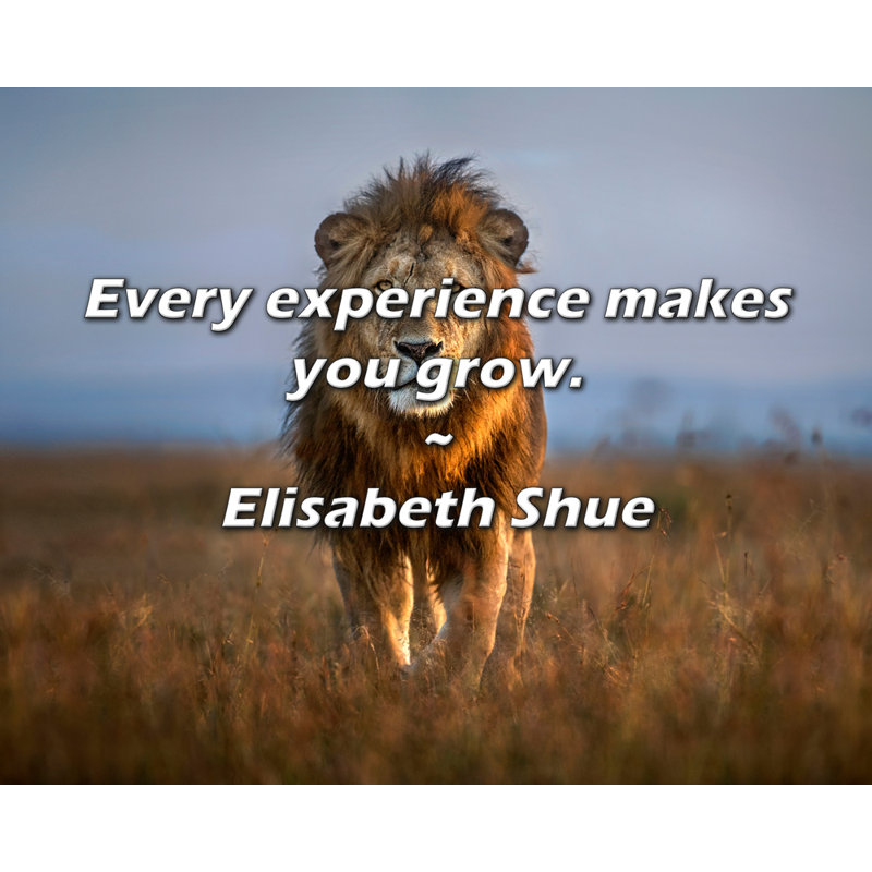 Elisabeth Shue Citation: Chaque expérience vous fait grandir.