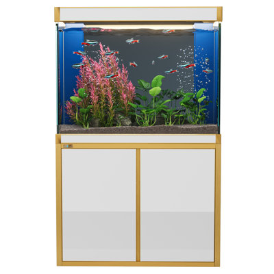 Rectangle Aquarium Tank
