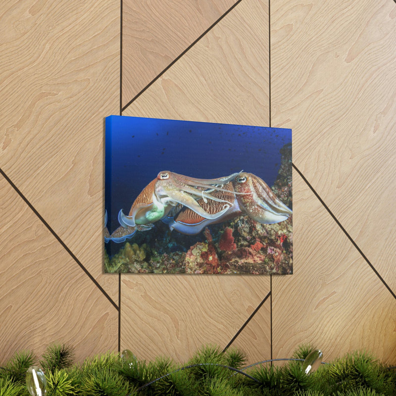 No Frame Print on Canvas, 11cm H x 14cm W