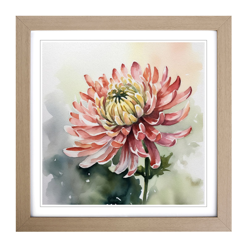 Chrysanthemum Watercolour - Framed Print, Oak