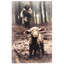 Notetakers Good Shepherd Series