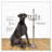 48.8'' H Metal Floor Candelabra