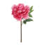 Tige de pivoine House of Hampton®-428404166-423769625