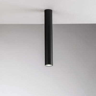Flush Mount