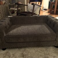 La-Z-Boy Newton Pet Sofa