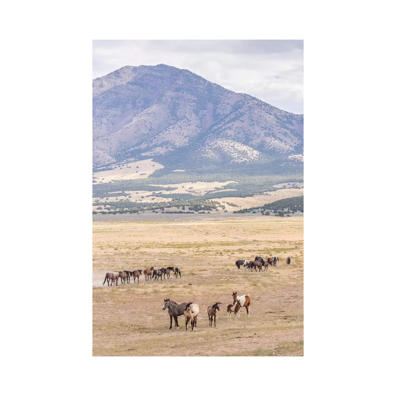 USA, Utah, Tooele County. Wild Horse Bands And Mountain. by Jaynes Gallery - Wrapped Canvas Gallery-Wrapped Canvas Giclée