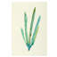Plants VI Print by Hable Construction-26774066-26774068