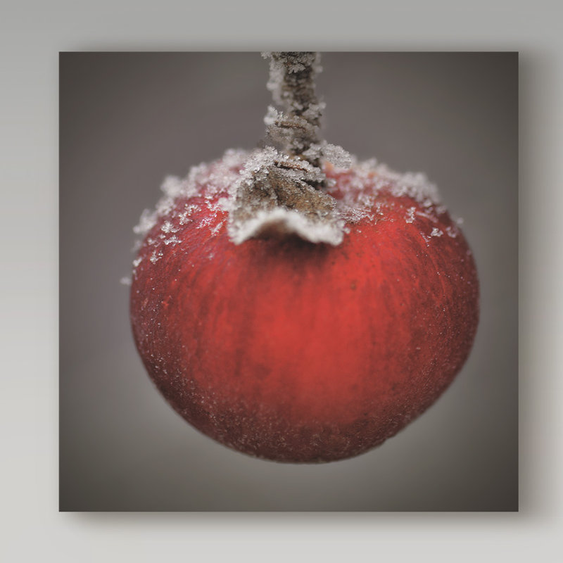 « red pomme », reproduction de photo sur toile, H 24 po x l 24 po