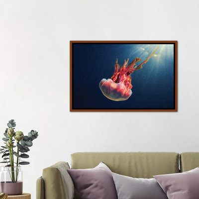 «Cyanea Capillata IX» par Anna Sweet - impression d'art graphique