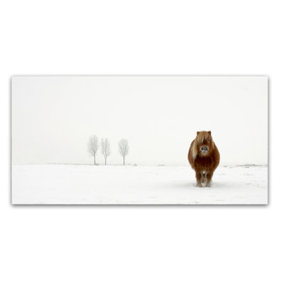 Art mural sur toile tendue - «The Cold Pony» de Gert Van Den pour décoration de salon, de chambre à coucher ou de bureau - 24 x 47