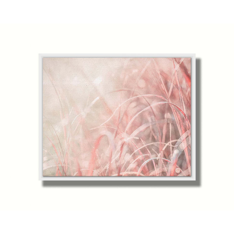 Crimson Grass in Backlight par Hal Halli. Estampe numérique, H 40,5 po x l 50,5 po, Impression encadrée sans passe-partout