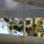 Photos des clients 1 de 1