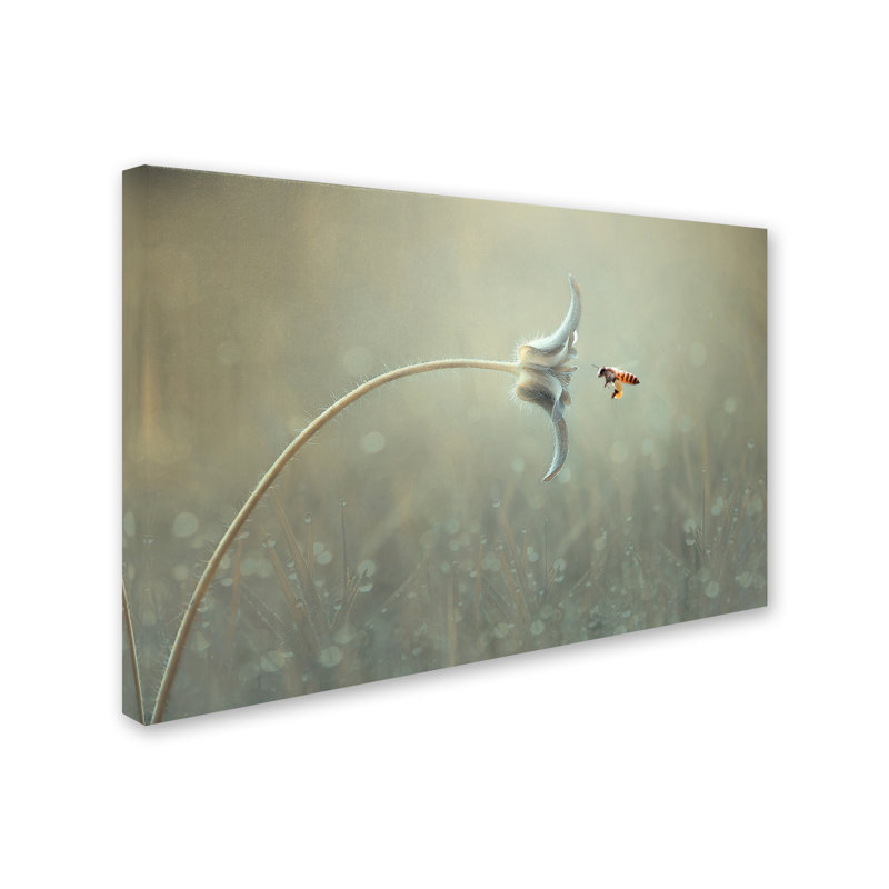 « on the way », reproduction de photo sur toile tendue, H 22 po x l 32 po