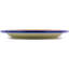 Stoneware Dinner Plate