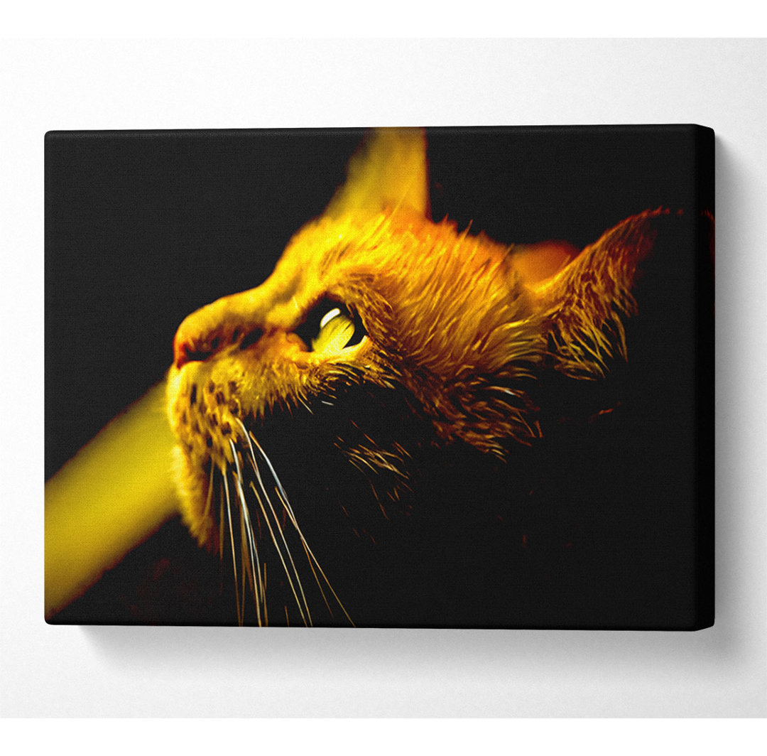 Red Cat Profile - Kunstdrucke auf Leinwand