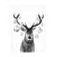 Art mural sur toile Loon Peak® Victoria Barnes-239369491