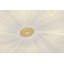 Henri Semi Flush by Augusta Hoffman x HVL-985021417-985021414