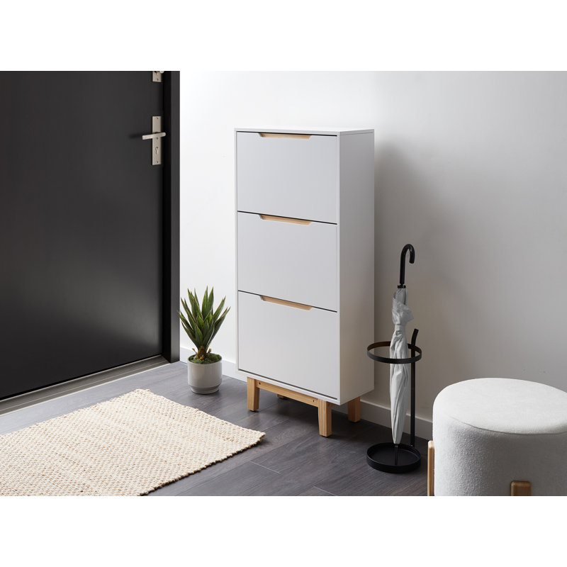12 Pair Shoe Storage Cabinet