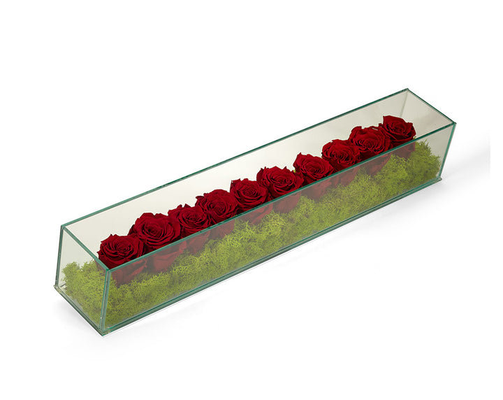 Preserved Roses in Rectangular Glass Box, Burgundy