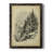 " The Larch "-163741578-207176803